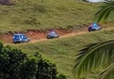 Corpo decapitado e esquartejado é encontrado em área de mata e pode ser de homem desaparecido após festa em Guaratinga
