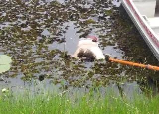 Corpo é encontrado dentro de represa em Fazenda de Teixeira de Freitas