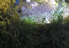 Corpo é encontrado enterrado em cova rasa  na cidade de Nova Viçosa 