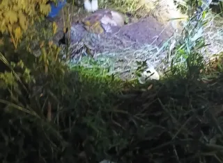 Corpo é encontrado enterrado em cova rasa  na cidade de Nova Viçosa 