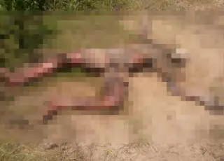 Corpo em avançado estado de decomposição é encontrado no bairro Estância Biquíni