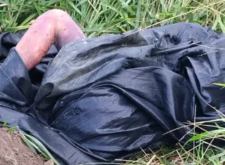 Corpo encontrado em área rural de Itabela pode ser de jovem desaparecido; Polícia Civil investiga caso