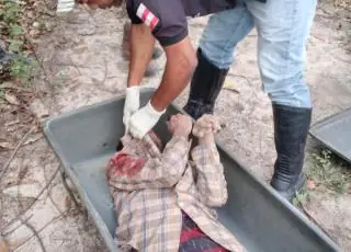 Corpo não identificado é encontrado próximo a Comunidade Araras em Teixeira de Freitas