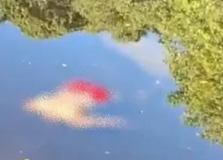 Corpo sem cabeça é encontrado boiando em rio na praia da Barra, em Santa Cruz Cabrália