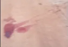 Corpos decapitados de homem e mulher são encontrados entre aldeias indígenas em Porto Seguro