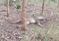 Corpos encontrados em área de eucalipto em Nova Viçosa podem ser de pai e filho desaparecidos; polícia aguarda identificação oficial