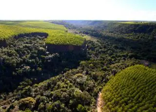 Corredor Ecológico ligará RPPN Estação Veracel e Parque Nacional do Pau Brasil