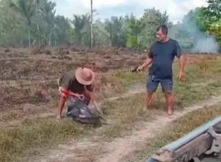 Covardia- Marido de prefeita mata idoso a sangue frio por disputa de terras no Amapá. Vídeo