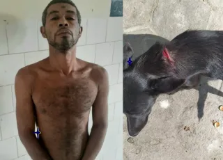 Covardia -Morador de Caravelas é preso  ao tentar degolar cachorro com facão
