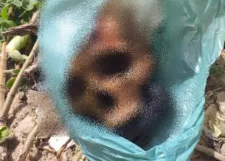 Crânio humano é encontrada dentro de sacola no bairro São Lourenço