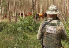 Criador é notificado após manter animais em área ambiental protegida em Guaratinga