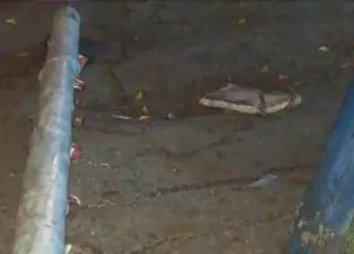 Criança morre após enroscar pescoço em correntes de balanço