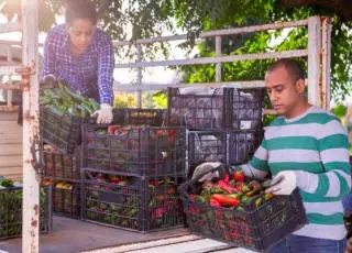 Cúpula de Sistemas Alimentares da ONU: Américas querem que agricultores sejam ouvidos