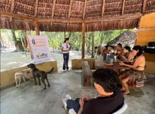 Curso de iniciação para criação de abelhas indígenas fortalece cultura e sustentabilidade nas comunidades Pataxó