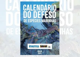 Defeso 2025: Prefeitura de Mucuri promove conscientização pela pesca sustentável