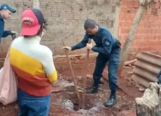 Desaparecido há meses, polícia encontra corpo de idoso enterrado em quintal e sobrinha confessa homicídio