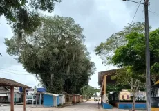 Descaso: Coelba deixa moradores de Juerana sem energia por mais de 24 horas