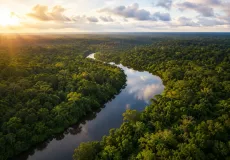 Desmatamento na Amazônia cai 36,8% e registra menor área sob alerta desde 2016