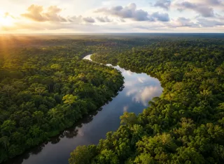 Desmatamento na Amazônia cai 36,8% e registra menor área sob alerta desde 2016
