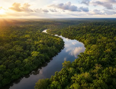 Desmatamento na Amazônia cai 36,8% e registra menor área sob alerta desde 2016