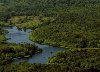 Desmatamento na Amazônia Legal caiu 12% entre 2017 e 2016