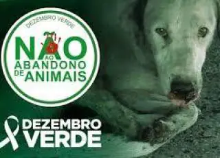 Dezembro Verde alerta sobre maus-tratos e abandono de animais