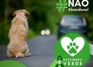 Dezembro Verde: campanha conscientiza sobre guarda responsável de animais