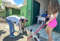 Dia D da vacinação antirrábica protege mais de 1,4 mil cães e gatos em Mucuri
