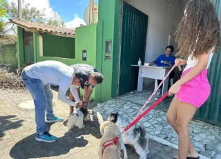 Dia D da vacinação antirrábica protege mais de 1,4 mil cães e gatos em Mucuri