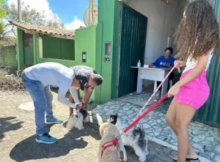 Dia D da vacinação antirrábica protege mais de 1,4 mil cães e gatos em Mucuri