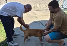 Dia D de Vacinação antirrábica imuniza mais de mil animais em Mucuri e Itabatã