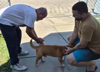 Dia D de Vacinação antirrábica imuniza mais de mil animais em Mucuri e Itabatã