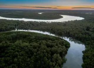 Dia da Água: projeto idealizado pela Suzano recupera nascentes do rio Mucuri