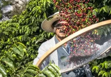 Dia de Campo integra conhecimento, inovação e novas experiências para o Extremo-Sul baiano