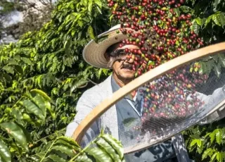 Dia de Campo integra conhecimento, inovação e novas experiências para o Extremo-Sul baiano