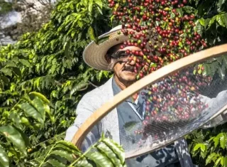 Dia de Campo integra conhecimento, inovação e novas experiências para o Extremo-Sul baiano
