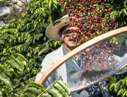 Dia de Campo integra conhecimento, inovação e novas experiências para o Extremo-Sul baiano