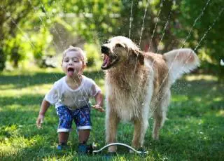 Dicas para melhorar a relação das crianças com os pets