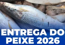 Distribuição de fichas para entrega do peixe começa nesta semana em Ibirapuã