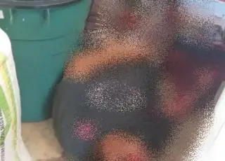 Dono de mercearia é executado dentro de seu estabelecimento em Posto da Mata