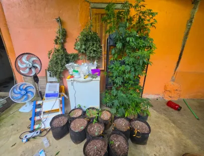 Drogas, munições e materiais utilizados no cultivo de maconha são apreendidos em Itacaré
