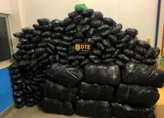 DTE apreende carga de maconha estimada em R$ 500 mil