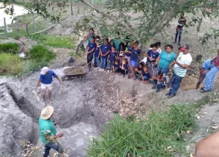 Educação do Campo participa da recuperação de nascentes na zona rural de Medeiros Neto