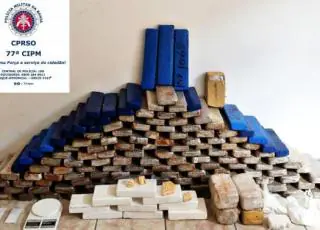 Em menos de 12 horas polícia apreende quase R$ 3,5 milhões em drogas nas Bahia