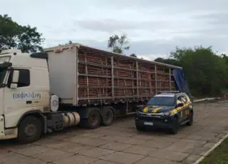 Em Teixeira de Freitas, PRF apreende carga de madeira transportada irregularmente