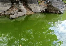 Embasa garante qualidade: Água distribuída em Teixeira permanece dentro dos padrões de potabilidade