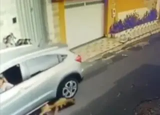 Vídeo mostra enfermeira  atropelando dois cachorros e fugindo em seguida. Caso ganhou repercussão na internet