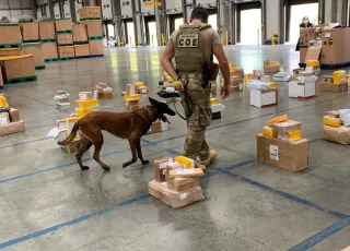 Entorpecentes avaliados em R$ 1 milhão são apreendidos em operação