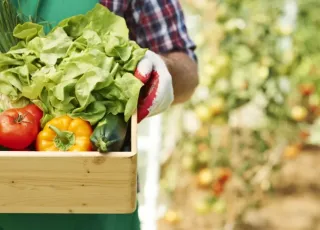 Rodada de Negócios na Exposição Agropecuária irá auxiliar produtores a vender para restaurantes do município