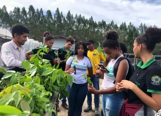 Equipe da Secretaria de Meio Ambiente realiza visita técnica ao viveiro AMA